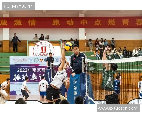 排球专题：聚焦南京排球队的耐力